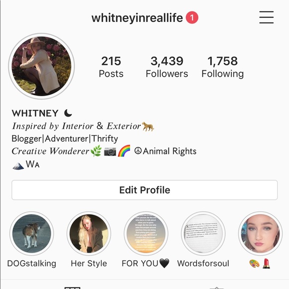 INSTAGRAM! - Picture 2 of 3